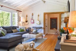 Tranquil Living Room with Dog